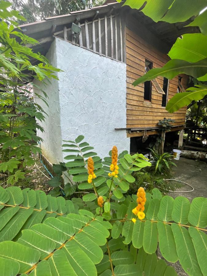 Happy Hippy House2 Koh Chang